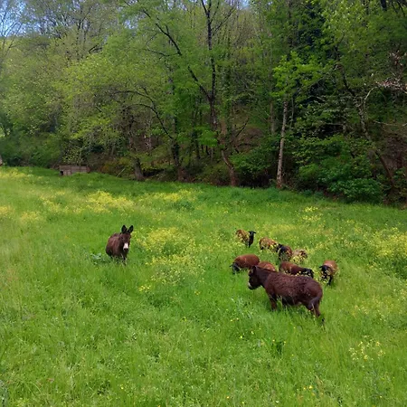 Bed & Breakfast Nabat Le Haut, Et Table D'hotes 3*