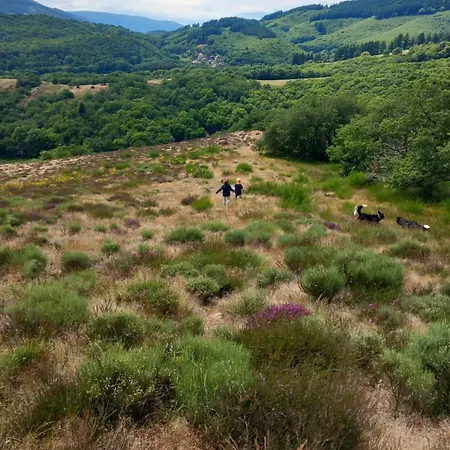 Nabat Le Haut, Et Table D'hotes *