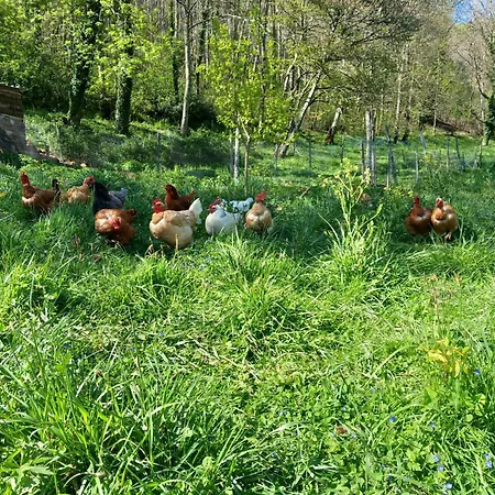 Nabat Le Haut, Et Table D'hotes Bed & Breakfast