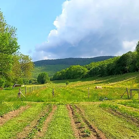 Nabat Le Haut, Et Table D'hotes Bed & Breakfast Courniou