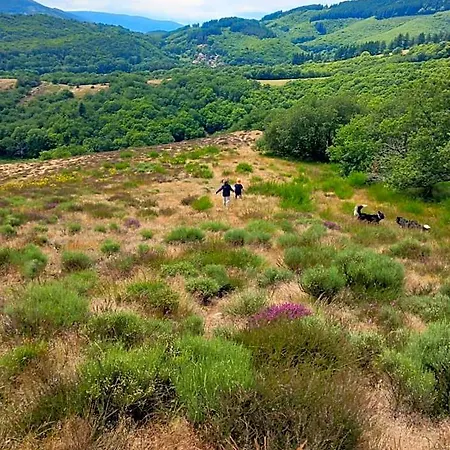 Nabat Le Haut, Et Table D'hotes
