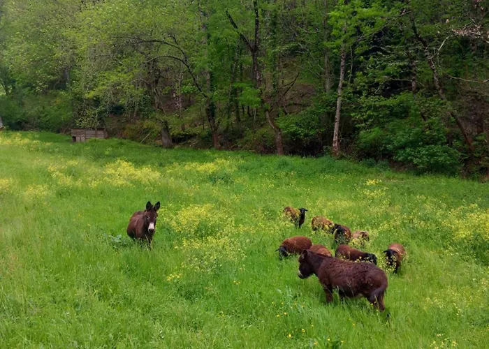 Bed and breakfast Nabat Le Haut, Et Table D'hotes 3*